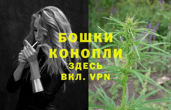 прущие грибы Верхнеуральск