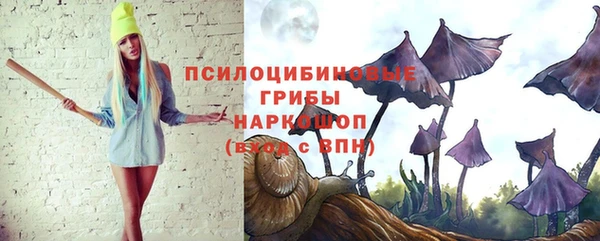 прущие грибы Верхнеуральск